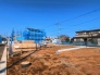 11号地  2026/03/12m