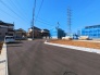 1号地  2026/03/12m