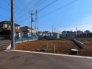 1号地  2026/03/12m