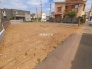 3号地 