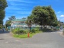 保育園