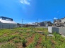 3号地 