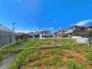 3号地 