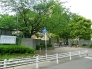 河原塚小学校 800m