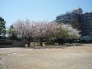 行徳南部公園 240m