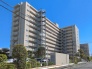 その他現地