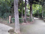 田喜野井北公園 170m