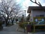 国府台文化幼稚園 440m