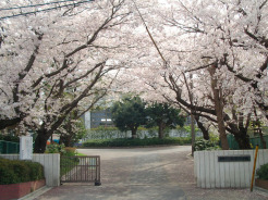 船橋中学校