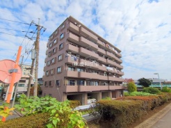 葛飾区立石8丁目