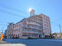 葛飾区東金町6丁目