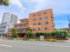 葛飾区新宿1丁目