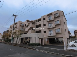 市川市福栄1丁目