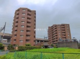 マンション