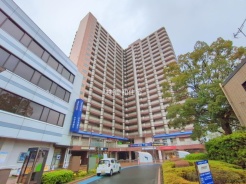 江戸川区平井3丁目