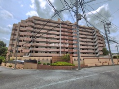 松戸市八ケ崎緑町