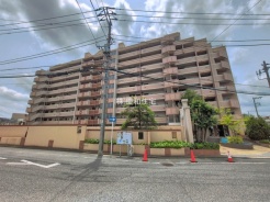 松戸市八ケ崎緑町