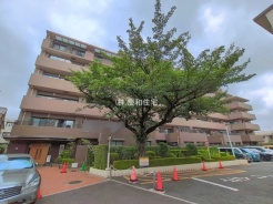 市川市相之川1丁目