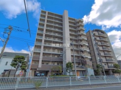 葛飾区東金町6丁目